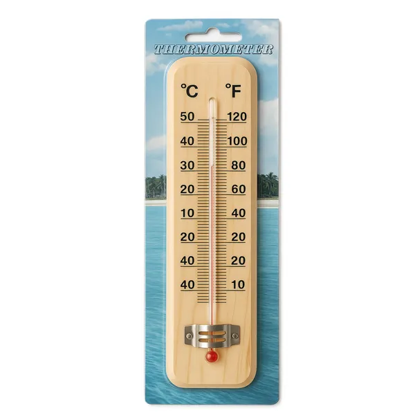 دماسنج دیواری